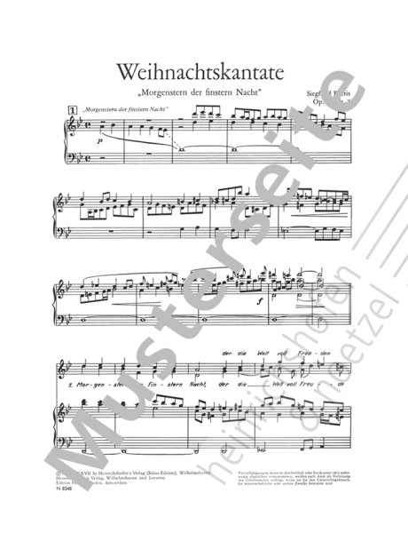 Weihnachtskantate "Morgenstern der finstern Nacht"