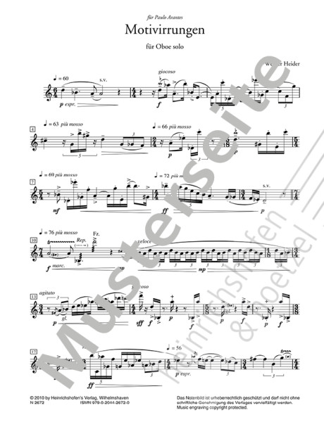 Motivirrungen | Werner Heider | Heinrichshofen Verlag