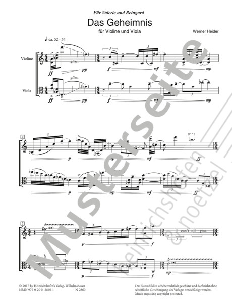 The secret | Werner Heider | Heinrichshofen publishing house