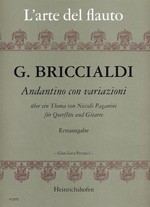 Andantino con variazioni über ein Thema von Niccolò Paganini
